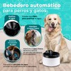 Fancy Pets Bebedero de Agua Tipo Fuente Automático para Perros