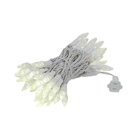 Novelty Lights 70 Light C6 LED Christmas Mini Light Set, Commercial Grade Outdoor String Lights, Warm White, White Wire, 24 Feet