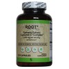 Vitacost Turmeric Extract Curcumin C3 Complex with Bioperine - 1,160