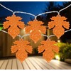 Northlight 10-Count Orange LED Fall Harvest Maple Leaf Fairy Lights,