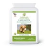 Paddipaws Dog Joint tablets - High Strength Hip and Joint
