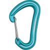Edelrid Nineteen G Carabiner, Karabiner Nineteen G, Icemint