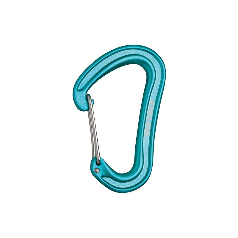 Edelrid Nineteen G Carabiner, Karabiner Nineteen G, Icemint