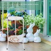 50cm Double Layer Plant Stand Iron Multifunctional Flower Rack Flower