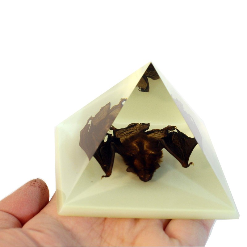 REALBUG DS904 Pyramid-Bat, Glow in Dark, 3 Inches