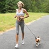 Chew Resistant Dog Leash with Hooks, 60 Inch Waterproof Metal