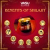 VASU Ayurveda Himalayan Shilajit Resin 400mg – Lab Tested Natural