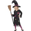 Smiffy's Cinder Witch Costume, Dress, Hat and Tights - Small