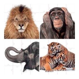 andrew zuckerman Rompe Cabezas Andrew Zucker Man Animales Creature 60 X 60