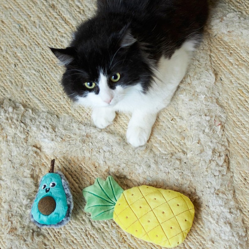 Kazoo Playful Avocado Cat Toy