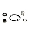 Wayne 64048-WYN1 Shaft Seal & Gasket for PLS, Black