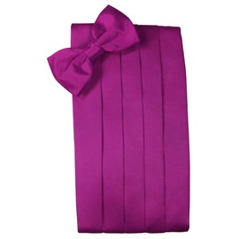 Cardi Men's Solid Satin Bowtie and Cummerbund Set, Fuschia