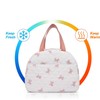 Bow Design Women's Insulated Lunch Tote with Compartments, Large Capacity