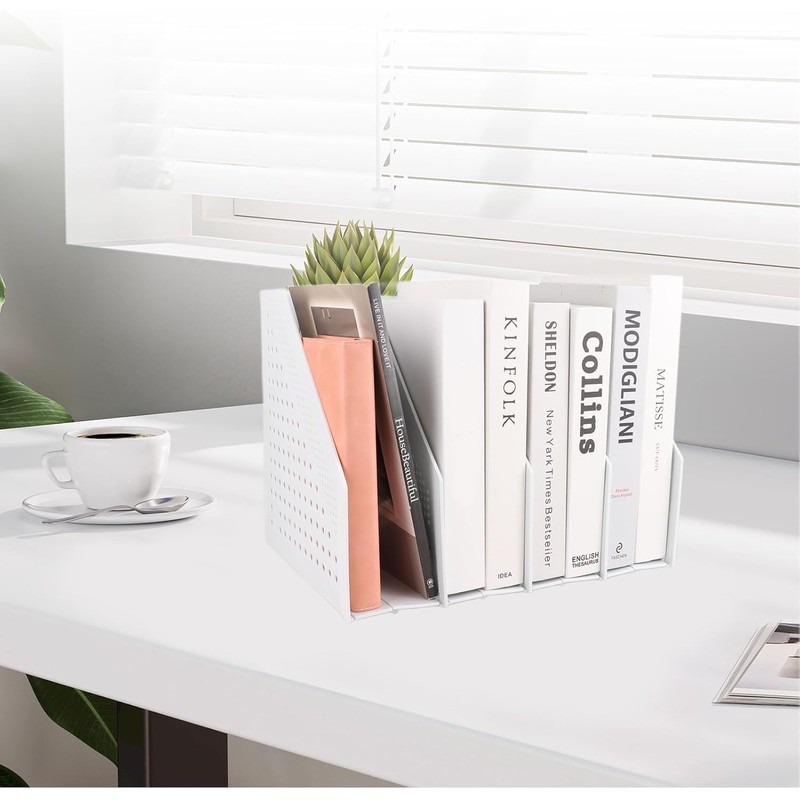 BEANPRECOY Collapsible Magazine File Holder with 4 Compartments, Desktop File