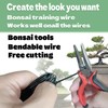 Bonsai Wire 7pcs-5 Rolls of Aluminum Bonsai Training Wire, Cutting