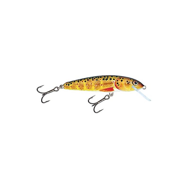 Salmo Floating Minnow Trout 6cm 4g (qmw017)
