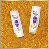 Pantene Pro-V Volume Pure Conditioner, 2x More Nutrients in 1