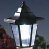Bits and Pieces - Solar Dog Lantern-Solar Powered Garden Lantern