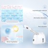 Portable Facial Steamer, 1 Count Hot Steam Nano Facial Beauty