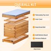 ThxBees 5 Frame Nuc Beehive Kit, Complete Bee Hive Nuc