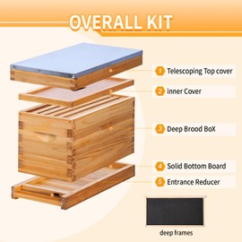 ThxBees 5 Frame Nuc Beehive Kit, Complete Bee Hive Nuc Box Coated with Beeswax Includes Beehive Frames and Waxed Foundations for Beekeeping (Unassembled)
