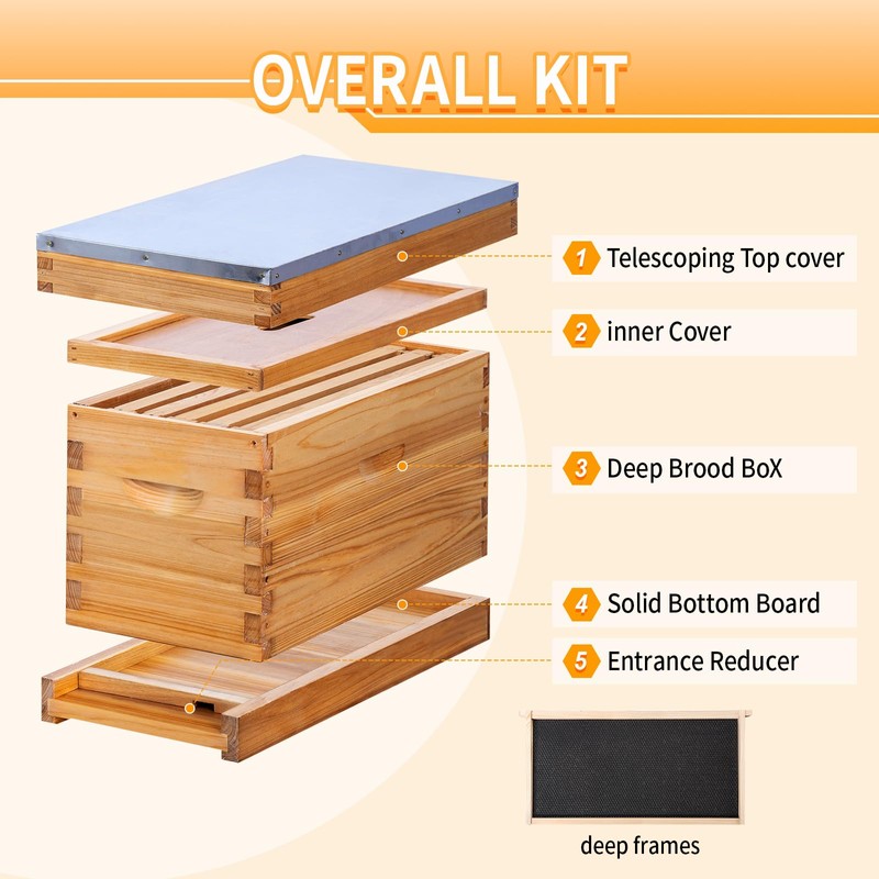 ThxBees 5 Frame Nuc Beehive Kit, Complete Bee Hive Nuc