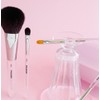Picasso Best Makeup Brush Set of 5 + Purple Cylindrical