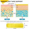 Kinesiology Tape Precut 2 Rolls Pack, Athletic Tape for Muscle