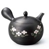 Tokoname Ware Y861 Spring Autumn Black No. 3 Pine Skin