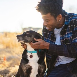 Collar de Cuello para Perro, Ajustable, Grande, Mediano, Pequeño, Diferentes Tamaños