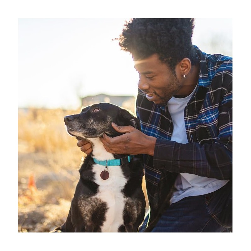 Collar de Cuello para Perro, Ajustable, Grande, Mediano, Pequeño, Diferentes