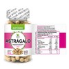 Astragalo 100 cápsulas, Adaptogeno calidad Premium