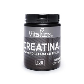 Creatina Monohidratada en Polvo  500 g 100 Porciones Sin Sabor                                                                                        