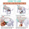 GreenJoy Get-Well-Soon Dog Surgery Recovery Suit - Soft Breathable Dog