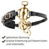 AMKA Hackamore Baroque with 3 Rings Noseband Leather Black Suits