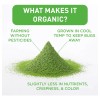 Aiya Since 1888 Té Verde Matcha En Polvo Orgánico 100
