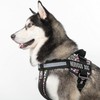 Dogline Unimax Dog Harness Vest with Nervous Dog Patches Reflective,