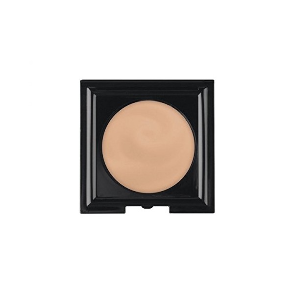 LCN Perfect Camouflage Creamy Concealer