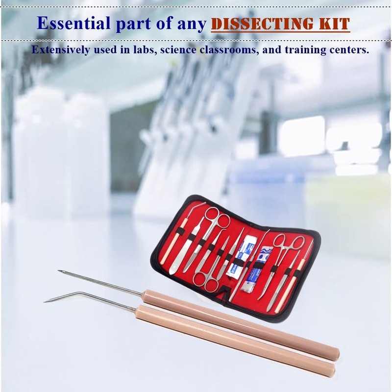 Lab Dissecting Teasing Needles with Plastic Handles for Dissection Multipurpose