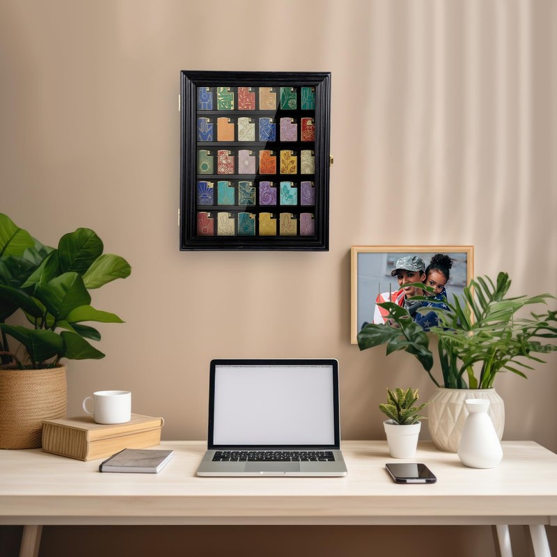 Silipull 30 Lighter Display Case Wall Mount Display Case for