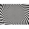 Impossible Puzzle 1000 Pieces Twisted Spiral Pattern Black and White