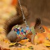 Squirrel Leash and Harness Set, Squirrel Traction Rope Strap, Ferret