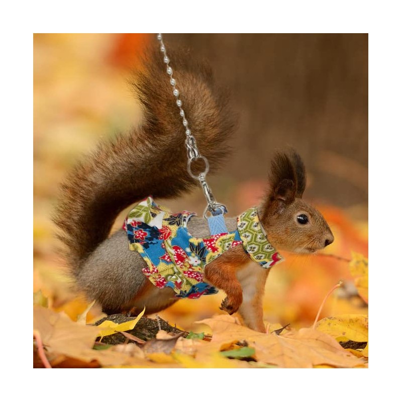 Squirrel Leash and Harness Set, Squirrel Traction Rope Strap, Ferret