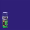 Rust-Oleum 270970-6PK Specialty No Hunting Purple Spray Paint, 12 oz,