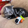 Electric Cat Toy Car, Interactive Electric Cat Toy, Smart Remote