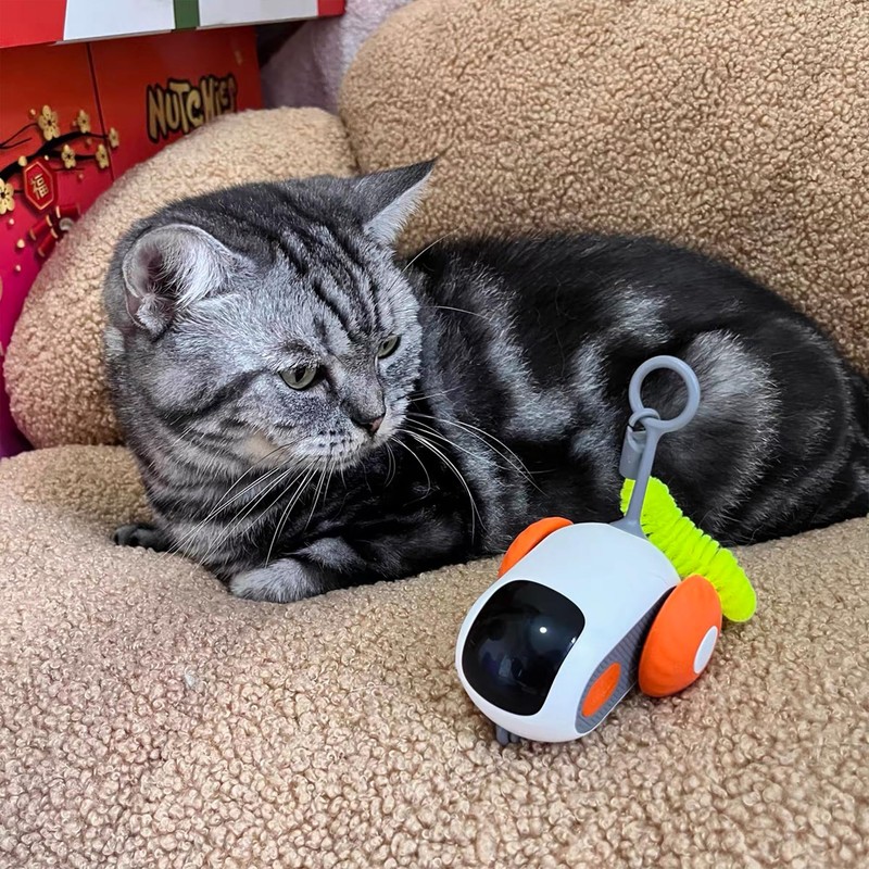 Electric Cat Toy Car, Interactive Electric Cat Toy, Smart Remote