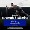 USN Pure Creatine Monohydrate Powder 300g - Unflavoured I 60