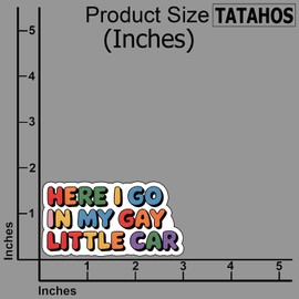 (3Pcs) Here I Go in My Gay Little Car Stickers Funny Sarcastic Quote Humor Motivational Inspirational Gifts Waterproof Vinyl Decals for Kindle Water Bottle Bumper Car Hard Hat Phone Laptop 3x1.8