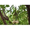 Maydahui Wind Chime Bell Summer Eiffel Tower Metal Indoor Outdoor