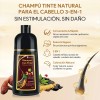 Kaisasa Shampoo Con Tinte Cubre Canas Natural Jengibre Maroon
